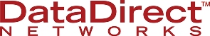 DDN Logo